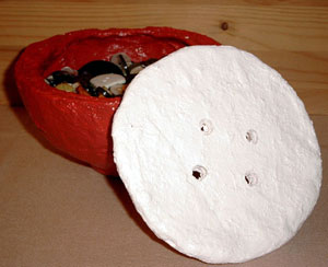 Knopfdose